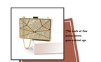 Pearly Acrylic Dinner Bag