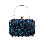 Embroidered Evening Bag