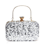 Embroidered Evening Bag