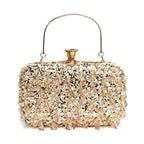 Embroidered Evening Bag